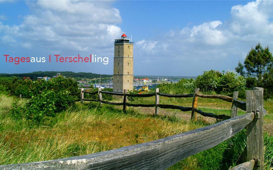 De Rozenbottel Villa Tzummarum Exteriör bild